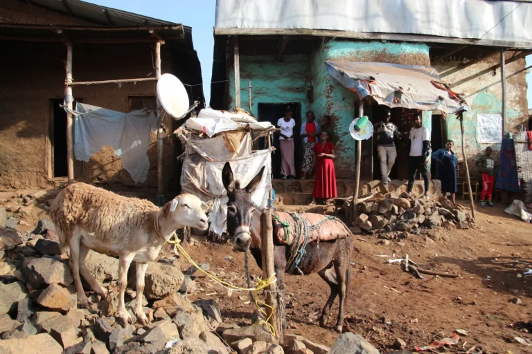 etiopia-vista-da-noi-26