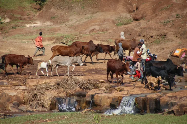 etiopia-vista-da-noi-64