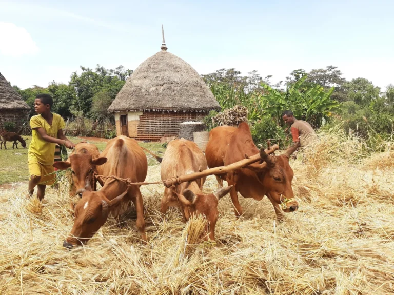 etiopia-vista-da-noi-8