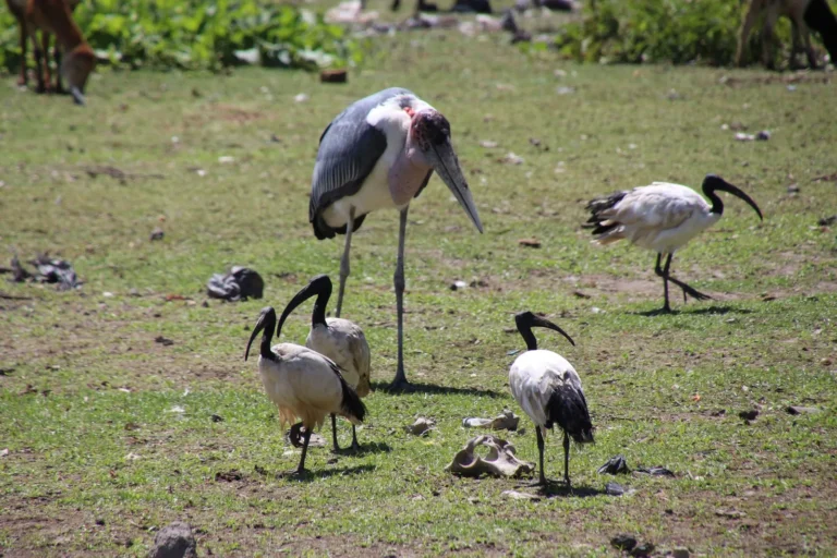 etiopia-vista-da-noi-9