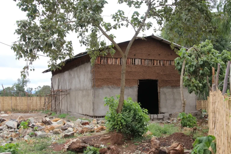 mucca-shallala-14