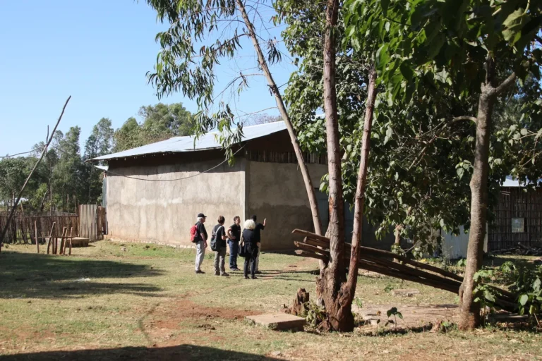 mucca-shallala-16