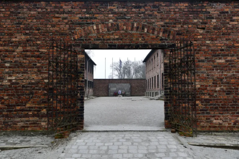 oltre-rete-muro-dimenticare-2024-17