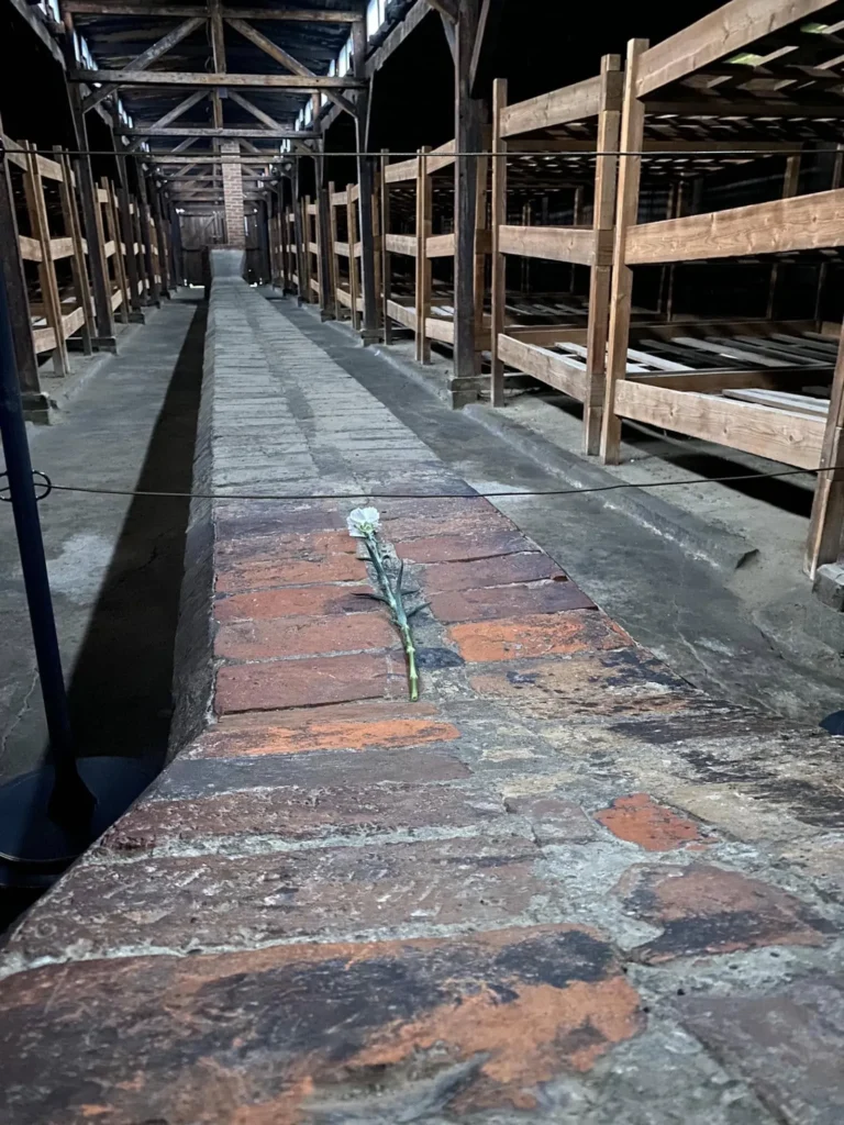 oltre-rete-muro-dimenticare-2024-21