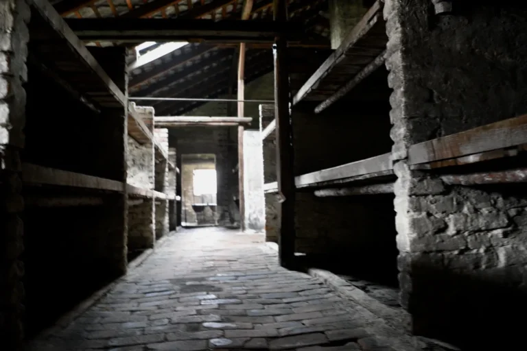 oltre-rete-muro-dimenticare-2024-23