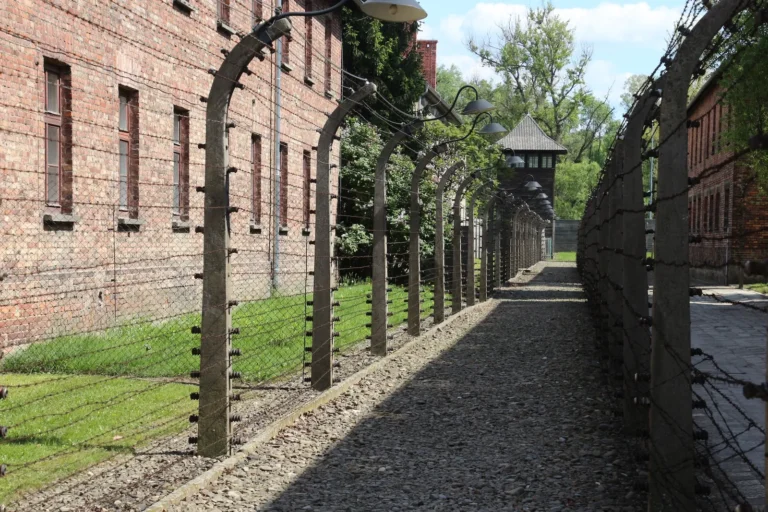oltre-rete-muro-dimenticare-2025-10