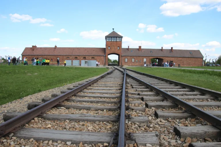 oltre-rete-muro-dimenticare-2025-15