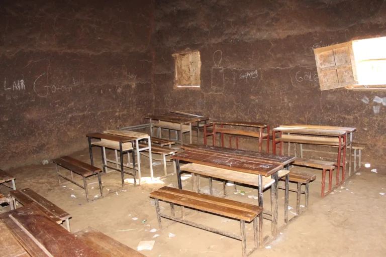 scuole-maldo-orde-14